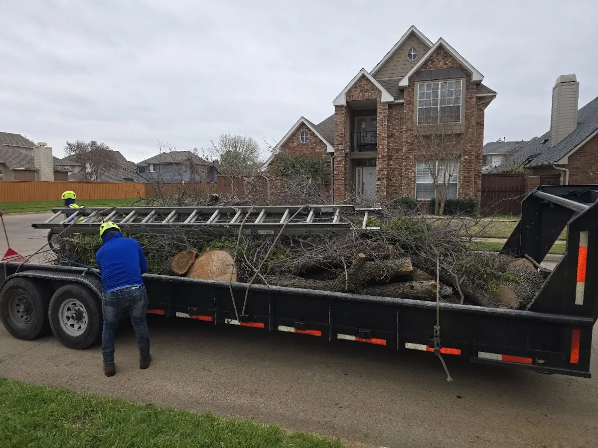 Expert Lot Clearing with proper safety equipment in San Juan